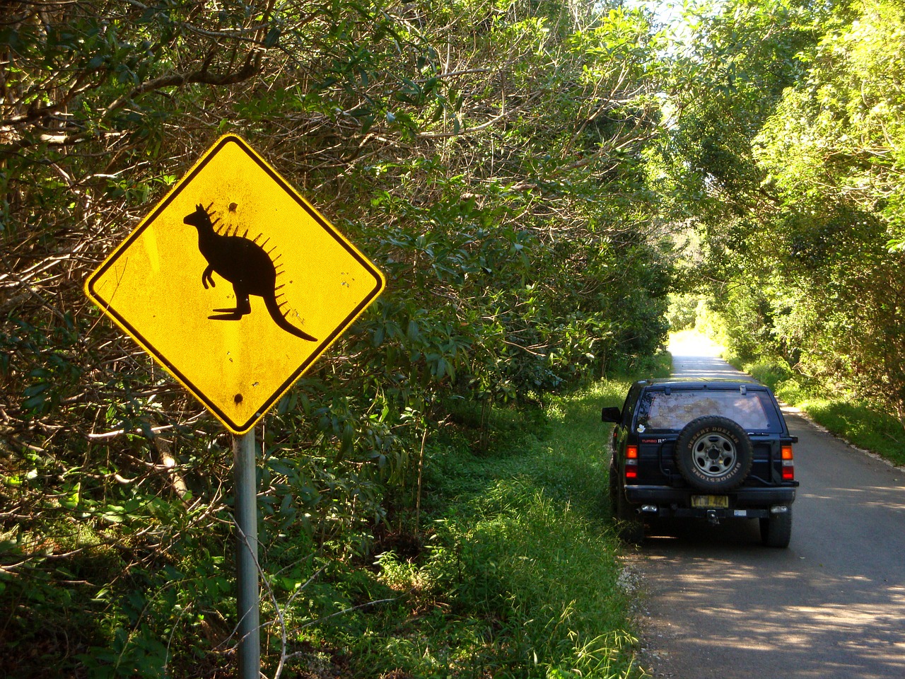 Australië